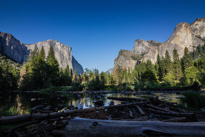 Scenic view of river in forest against clear blue sky