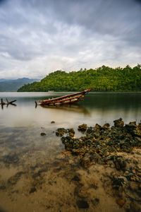 Scenic view of trees against sky