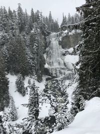 Scenic view of snow covered mountains