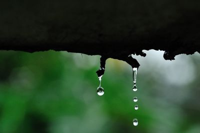 Close-up of raindrops on water