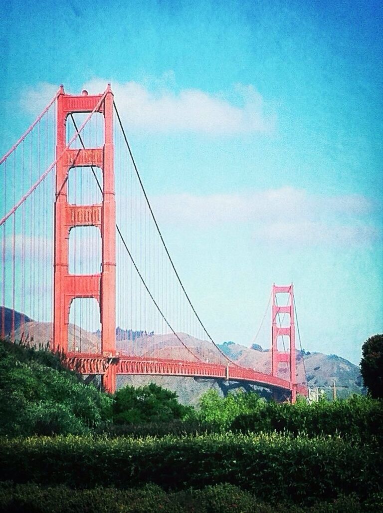 connection, bridge - man made structure, suspension bridge, engineering, architecture, built structure, transportation, sky, golden gate bridge, blue, bridge, low angle view, red, grass, travel destinations, day, outdoors, cable-stayed bridge, travel, no people