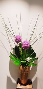 Close-up of potted plant on table