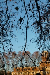 Low angle view of silhouette trees against clear sky