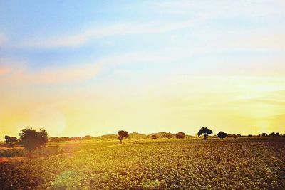 Scenic view of field against cloudy sky