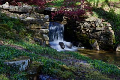 Scenic view of waterfall in forest