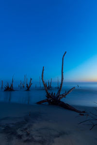 Scenic view of sea against clear blue sky during winter