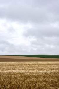 Scenic view of field against cloudy sky