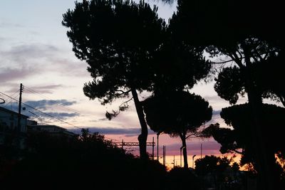 Silhouette trees against sky during sunset