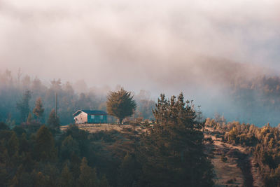 Trees on landscape against sky during foggy weather