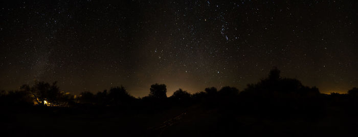 Silhouette trees against star field at night