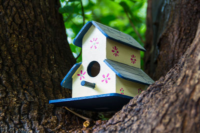 Close-up of open book on tree trunk