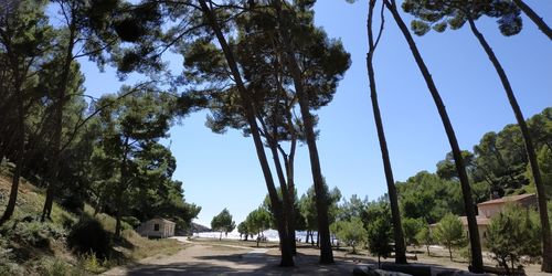 Road amidst trees against sky