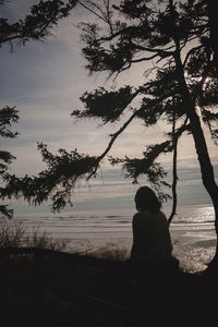 Rear view of silhouette man sitting by tree against sky