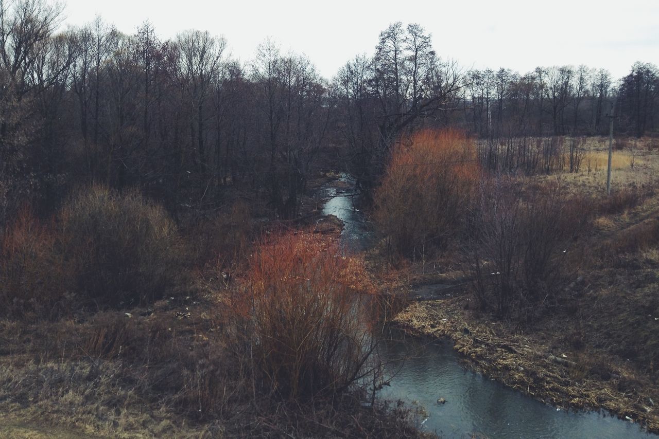 tree, water, tranquility, tranquil scene, reflection, scenics, nature, beauty in nature, lake, forest, river, stream, non-urban scene, growth, sky, landscape, idyllic, outdoors, grass, bare tree