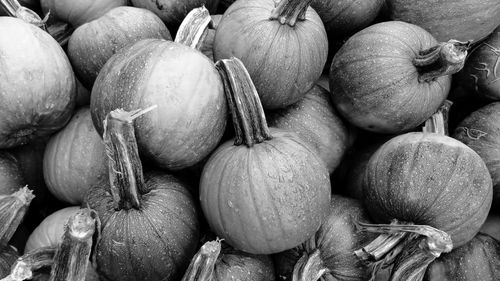 Full frame shot of onions for sale at market stall