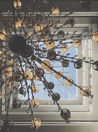 Low angle view of hanging decoration