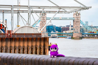 Fluffy cute toy exploring london, uk.