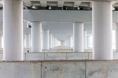 White columns in corridor