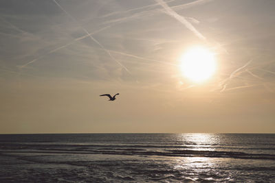 Silhouette bird flying over sea against sky during sunset