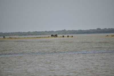 Scenic view of sea against clear sky