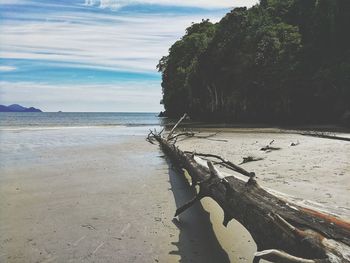 Scenic view of beach against sky