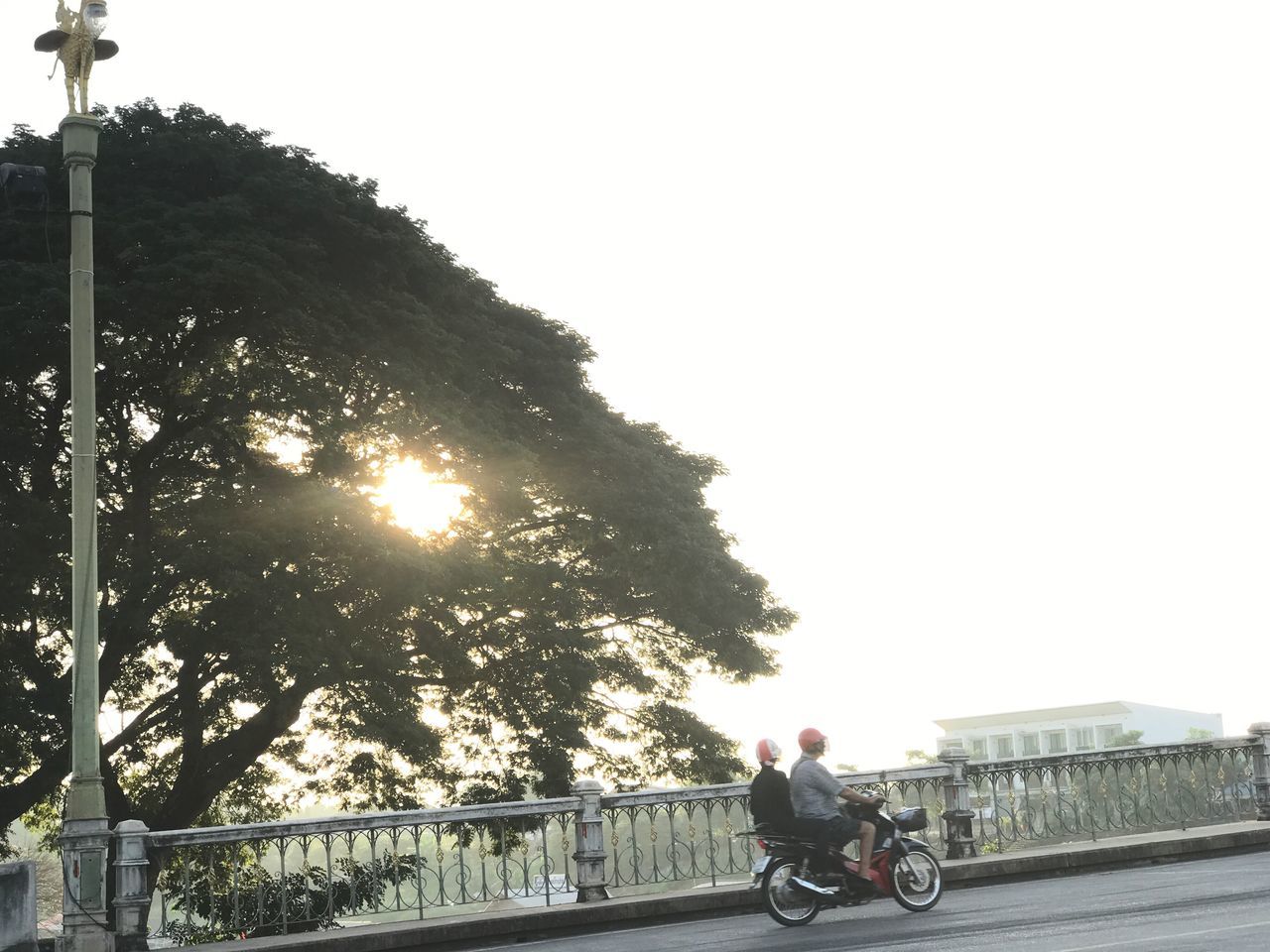 MAN RIDING BICYCLE