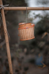 Close-up of wicker basket hanging on wood outdoors