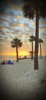 Scenic view of palm trees on beach during sunset