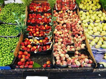 Fruits for sale at market stall