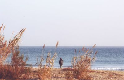 Scenic view of sea against clear sky