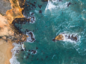 High angle view of turtle in sea