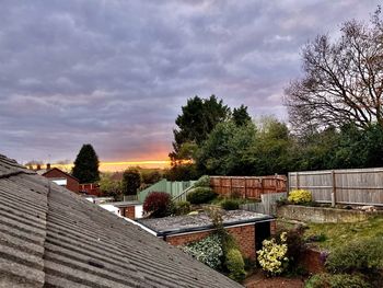 Trees and houses against sky during sunset