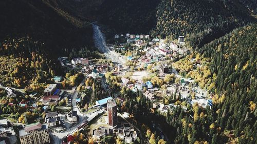 High angle view of trees in city