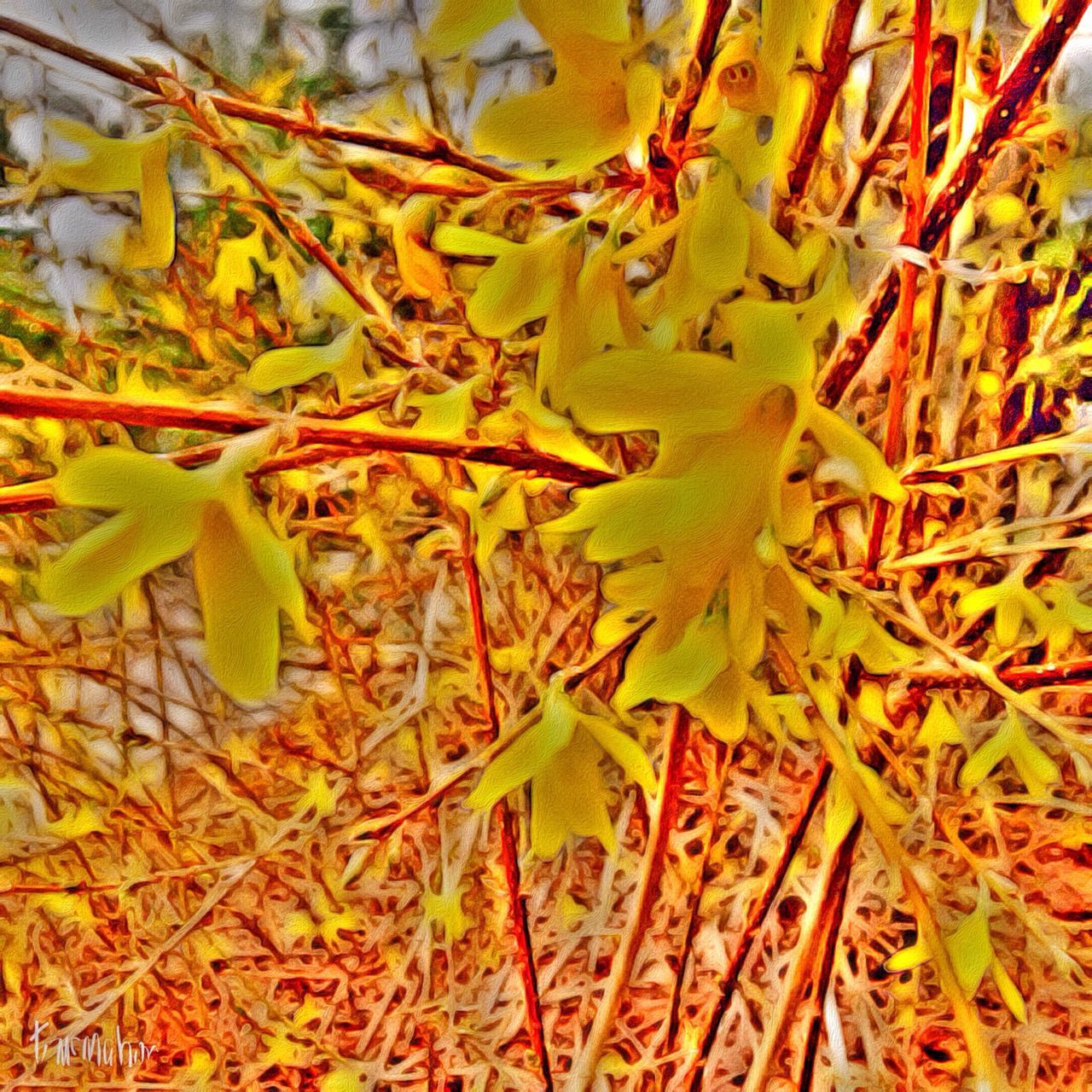 leaf, growth, autumn, nature, change, field, close-up, branch, tranquility, green color, agriculture, plant, leaves, day, beauty in nature, focus on foreground, season, tree, outdoors, selective focus