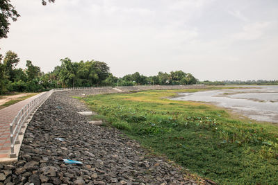 Surface level of road amidst trees on field against sky