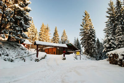 Snow covered houses and trees against sky