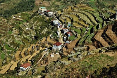 Vegetable terraces view from mt. timbak, benguet, philippines