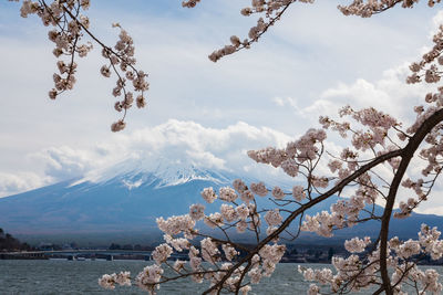 Scenic view of snow covered mountain against sky