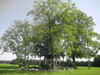 Trees on landscape against sky