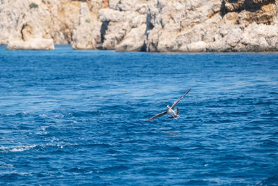 View of sailboat in sea