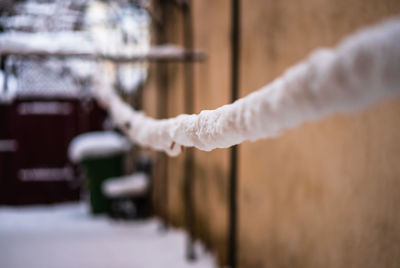 Close-up of frozen rope outdoors