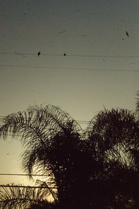 Silhouette tree against clear sky during sunset