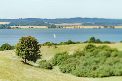 Scenic view of mountain range