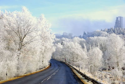 Road amidst bare trees against sky during winter