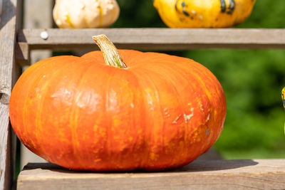 Close-up of pumpkins on table