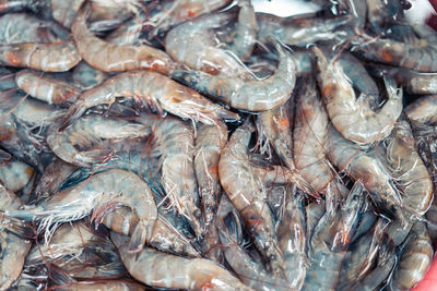 Full frame shot of fish for sale in market