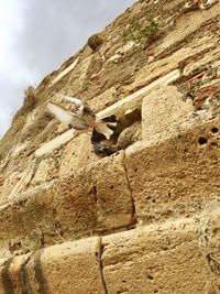 Low angle view of rocks on cliff against sky