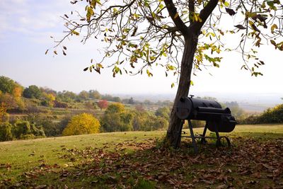 Park bench on field during autumn