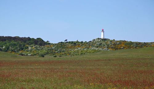 Scenic view of field against clear sky