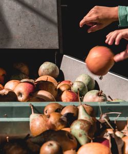 High angle view of man preparing food